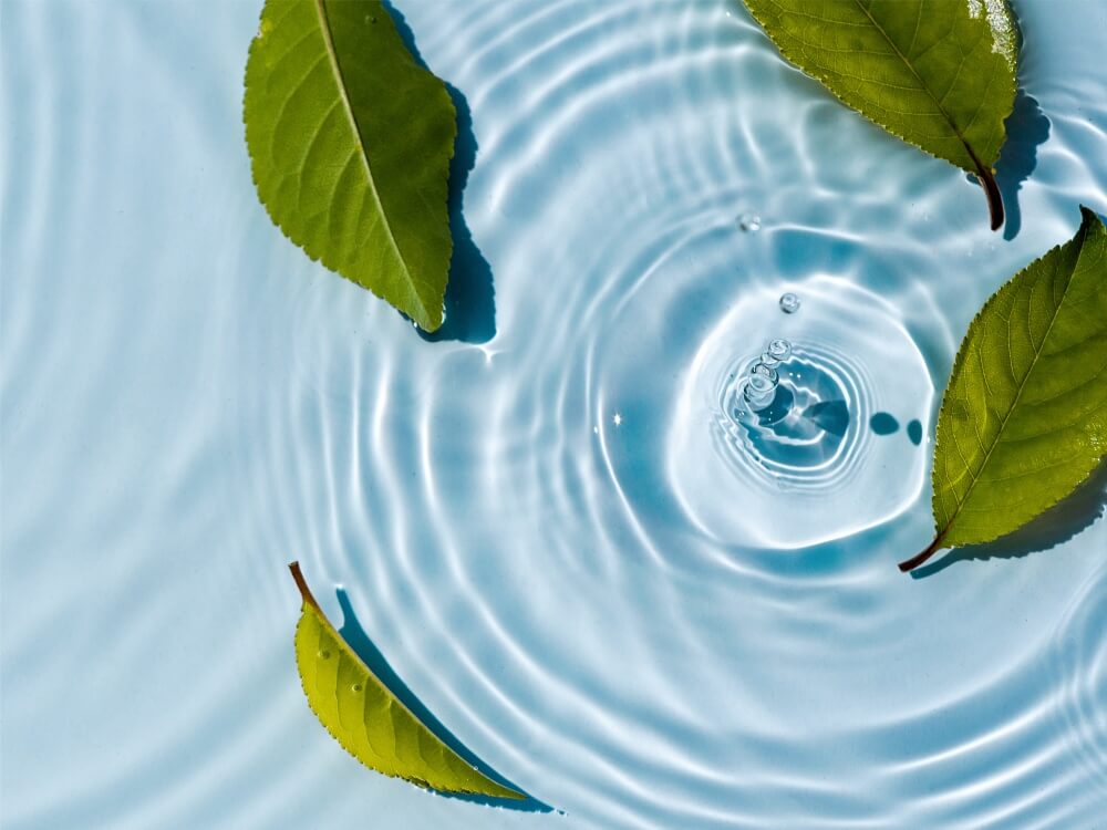 LevonMajat - Hyvinvointipalvelut